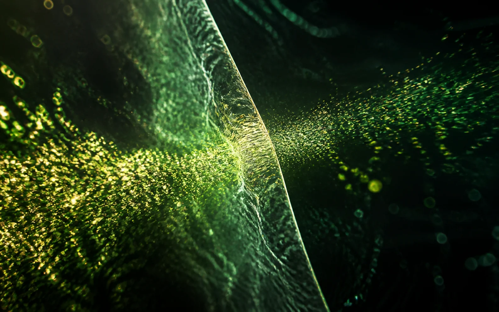 Editorial microscopic visualization of fine botanical particles passing through a translucent membrane